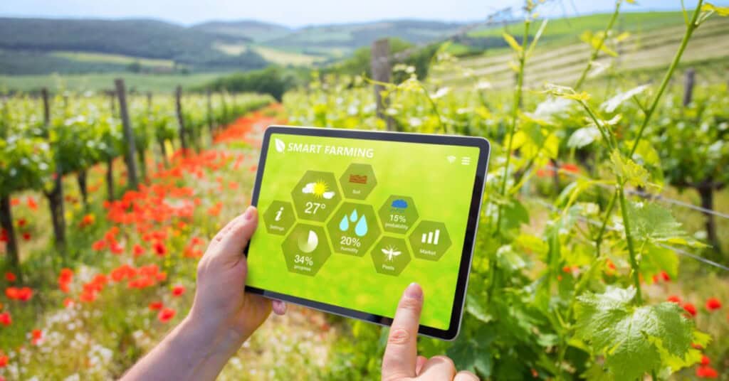 Representación digital con elementos de diseño, destacando la venta de plantillas digitales.